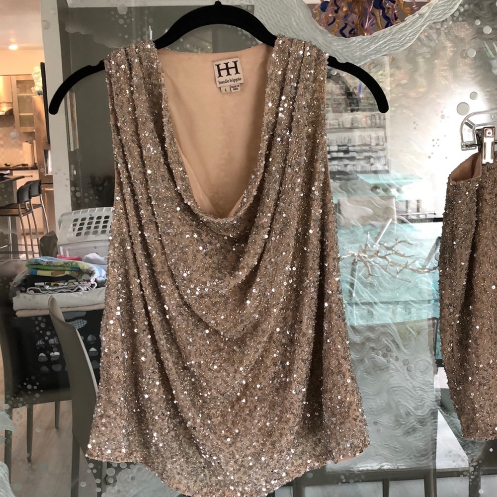 Haute hippie top and skirt